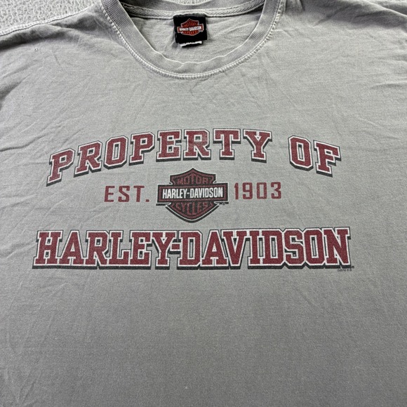 Harley Davidson Big Swamp Opelika Alabama Highway 85 Graphic T-Shirt Gray Large - Picture 2 of 14